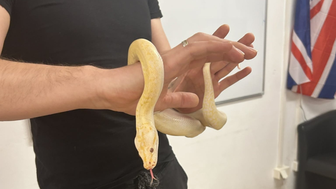 a3711a09-e51b-4d74-a819-8a669ddd4262